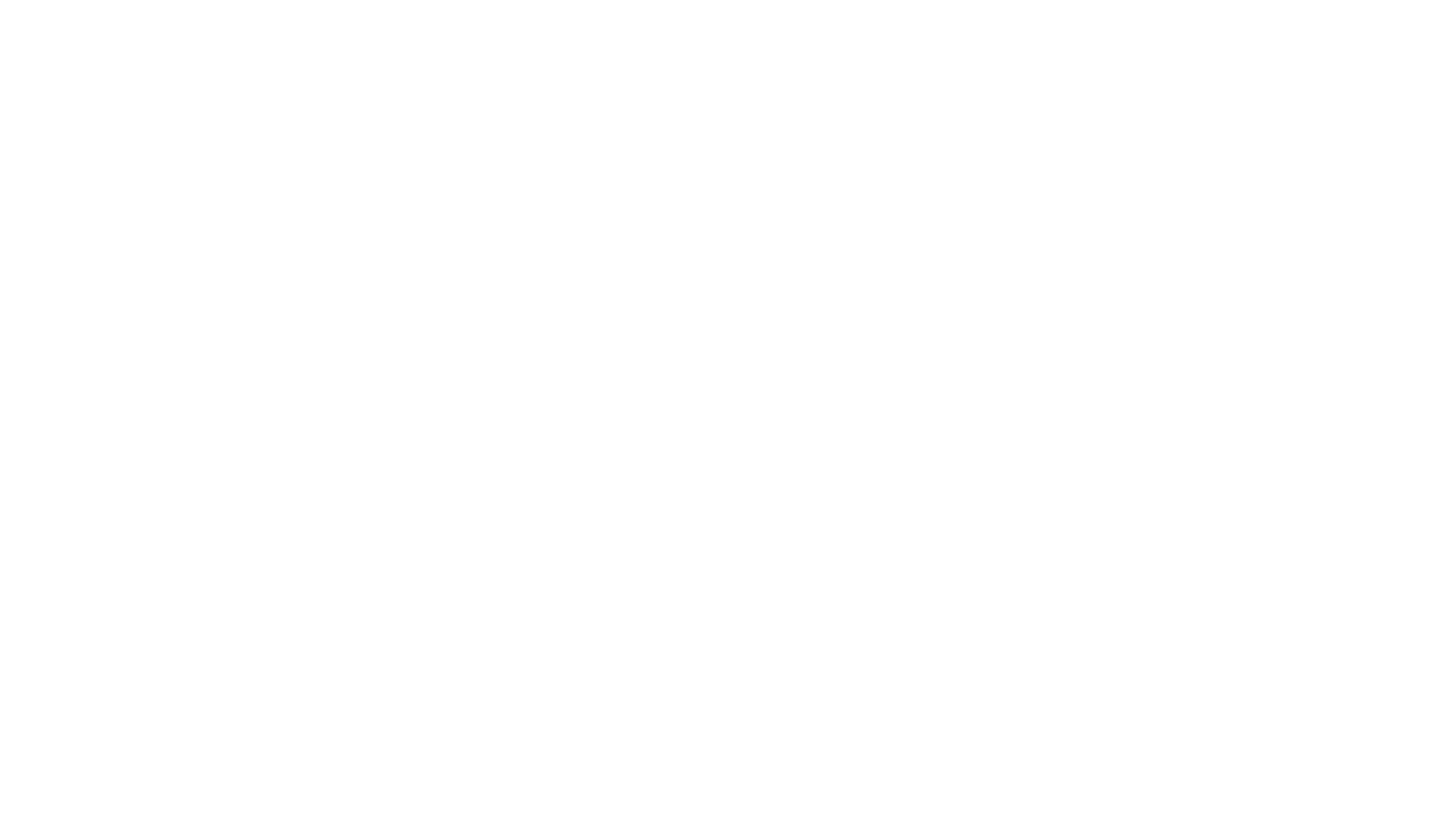 Singapore Official Senate Grand Prix LTD Partner F1 Logo